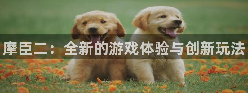 万向娱乐体育3在线注册：摩臣二：全新的游戏体验与创新玩法