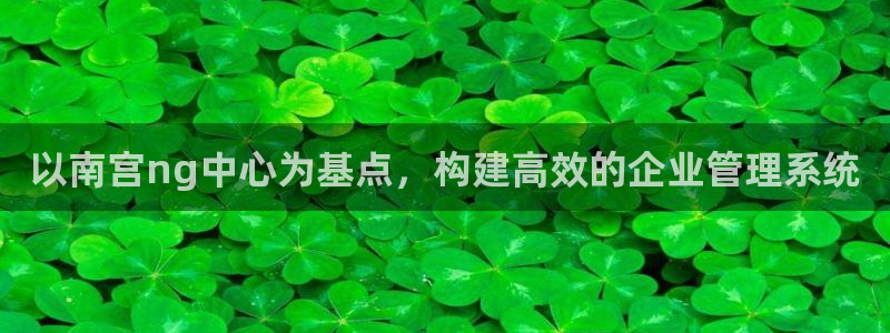 万向娱乐体育官网登录：以南宫ng中心为基点，构建高效的企业管理系统