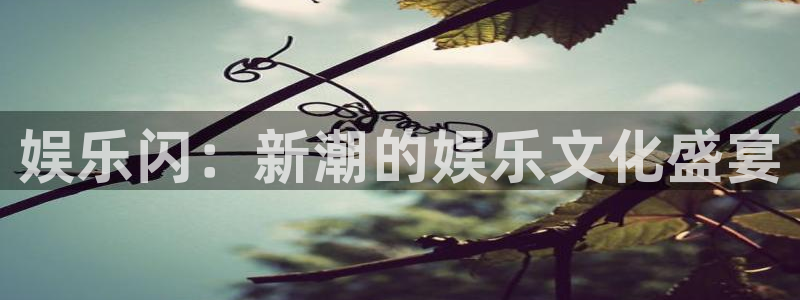 万向娱乐体育凯捷平台代理：娱乐闪：新潮的娱乐文化盛宴