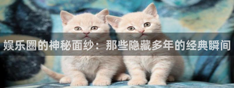 万向娱乐5招商：娱乐圈的神秘面纱：那些隐藏多年的经典瞬间
