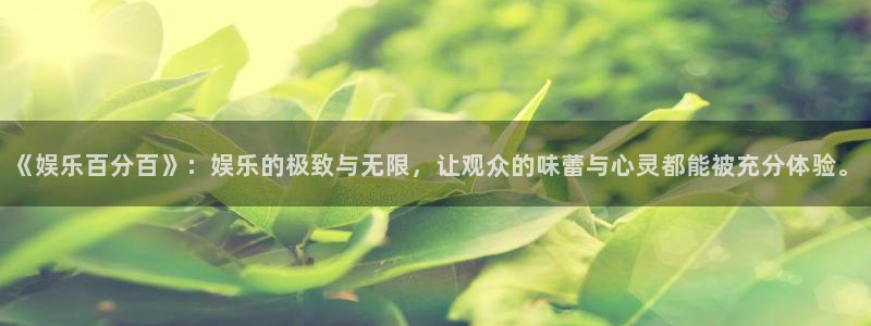 万向娱乐体育注册代理：《娱乐百分百》：娱乐的极致与无限，让观众的味蕾与心灵都能被