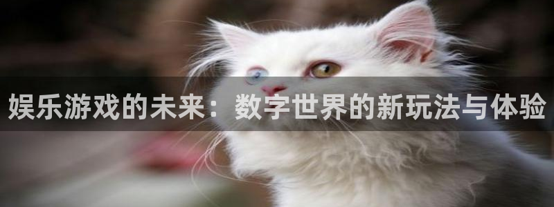 万向娱乐体育热门赛事有哪些