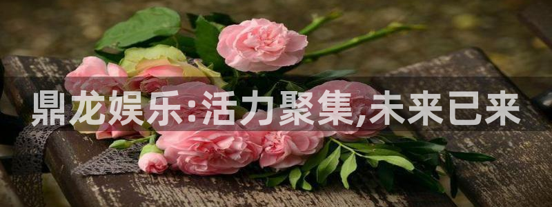 万向娱乐3代理：鼎龙娱乐:活力聚集,未来已来