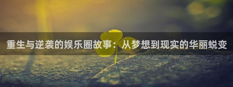 佛山市南海万向娱乐机电仪器有限公司：重生与逆袭的娱乐圈故事：从梦想到现实的华丽蜕变