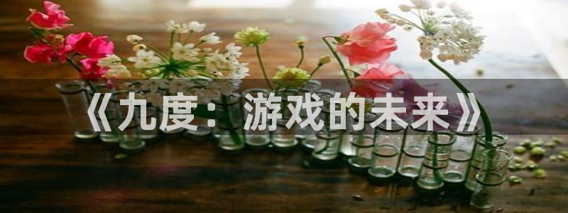 万向娱乐代理注册官网入口：《九度：游戏的未来》