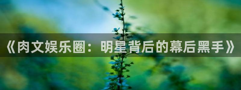 万向娱乐3登录：《肉文娱乐圈：明星背后的幕后黑手》
