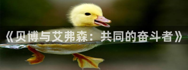 万向娱乐游戏有哪些好玩的：《贝博与艾弗森：共同的奋斗者》