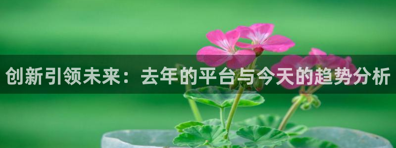 万向娱乐包怎么样：创新引领未来：去年的平台与今天的趋势分析