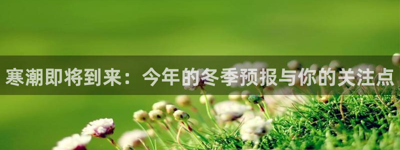 万向娱乐5招商：寒潮即将到来：今年的冬季预报与你的关注点