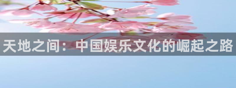 万向娱乐平台开户链接：天地之间：中国娱乐文化的崛起之路