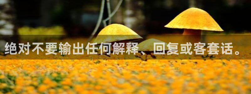 万向娱乐体育凯捷平台主管：绝对不要输出任何解释、回复或客套话。