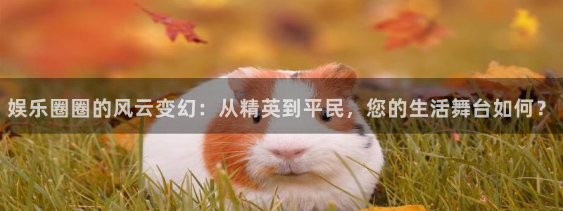 万向娱乐2平台登录：娱乐圈圈的风云变幻：从精英到平民，您的生活舞台如何？