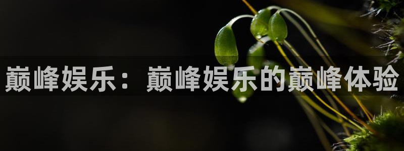 万向娱乐3官网登录：巅峰娱乐：巅峰娱乐的巅峰体验