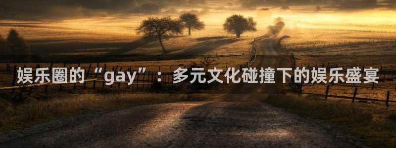 万向娱乐注册：娱乐圈的“gay”：多元文化碰撞下的娱乐盛宴