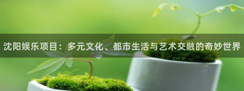 万向娱乐体育代理：沈阳娱乐项目：多元文化、都市生活与艺术交融的奇妙世界
