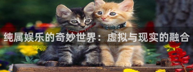 万向娱乐包怎么样：纯属娱乐的奇妙世界：虚拟与现实的融合