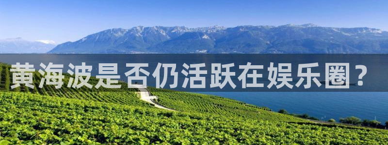 万向娱乐2官网：黄海波是否仍活跃在娱乐圈？