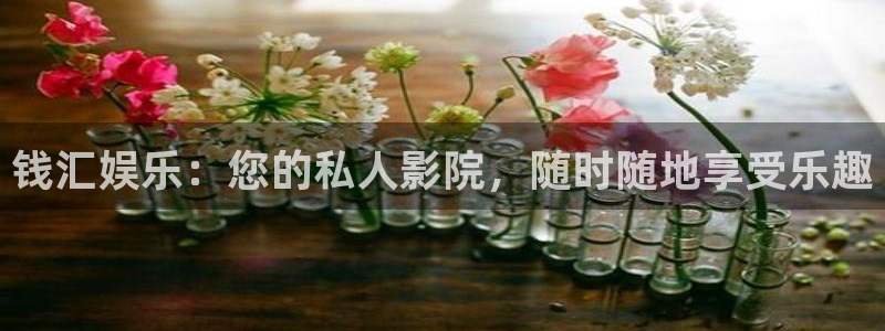 万向娱乐体育f开户：钱汇娱乐：您的私人影院，随时随地享受乐趣