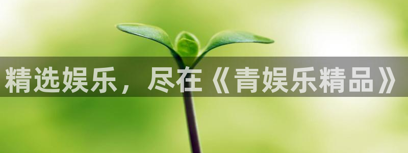 万向娱乐代理：精选娱乐，尽在《青娱乐精品》