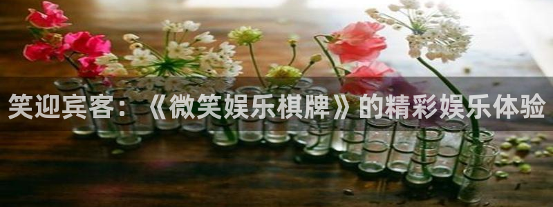 万向娱乐主管：笑迎宾客：《微笑娱乐棋牌》的精彩娱乐体验