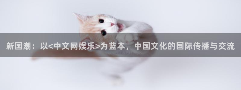 万向娱乐平台开户链接：新国潮：以<中文网娱乐>为蓝本，中国文化的国际传播与交流