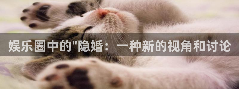 万向娱乐主管：娱乐圈中的\