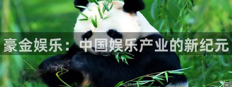 万向娱乐2代理注册：豪金娱乐：中国娱乐产业的新纪元