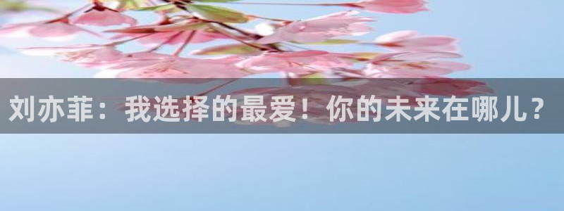 万向娱乐游戏有哪些好玩的：刘亦菲：我选择的最爱！你的未来在哪儿？