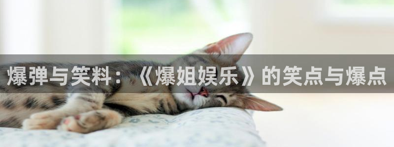 万向娱乐2体育：爆弹与笑料：《爆姐娱乐》的笑点与爆点
