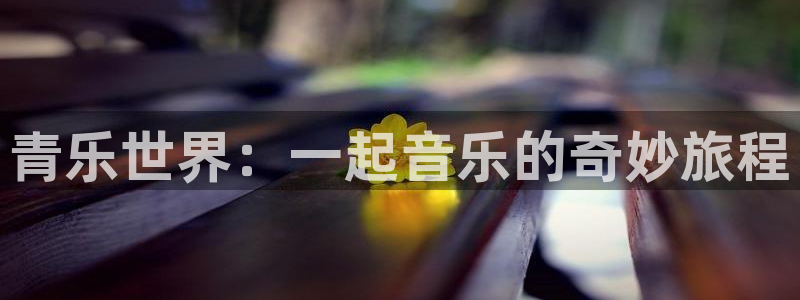万向娱乐2官网：青乐世界：一起音乐的奇妙旅程
