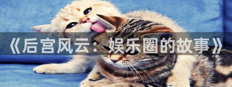 万向娱乐平台注册：《后宫风云：娱乐圈的故事》