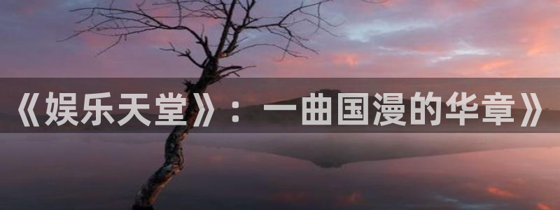成都万向娱乐电子有限公司：《娱乐天堂》：一曲国漫的华章》